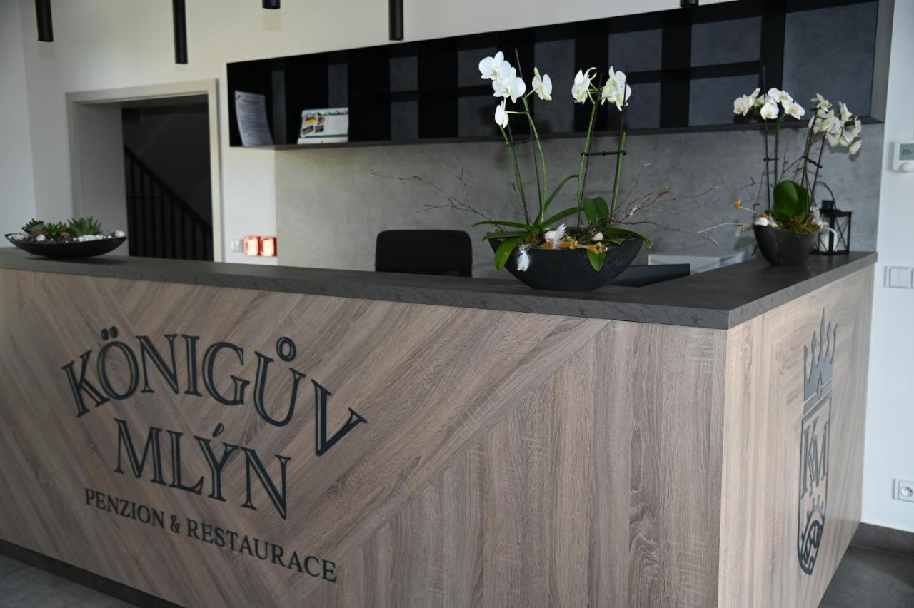 Penzion Königův mlýn Loučná pod Klínovcem Exterior foto